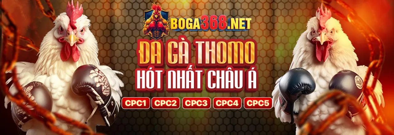 Hình ảnh cam kết GDPR của tải 98vn